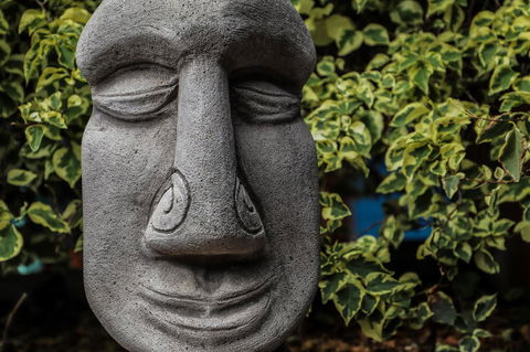 Cool Bananas Backpackers - Yamba Accommodation 23