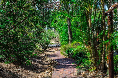 Cool Bananas Backpackers - Yamba Accommodation 15