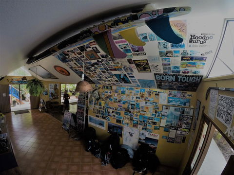 Cool Bananas Backpackers - Yamba Accommodation 31