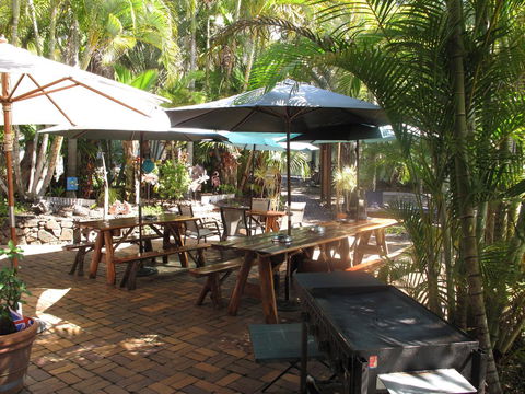 Cool Bananas Backpackers - Yamba Accommodation 16