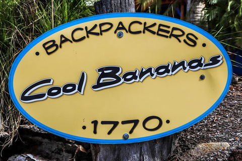 Cool Bananas Backpackers - Yamba Accommodation 38