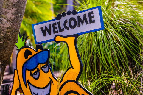 Cool Bananas Backpackers - Yamba Accommodation 37