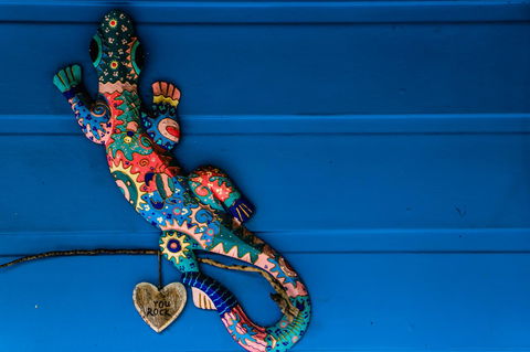 Cool Bananas Backpackers - Yamba Accommodation 21