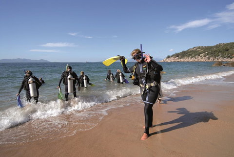 Nomads Magnetic Island - Yamba Accommodation 39