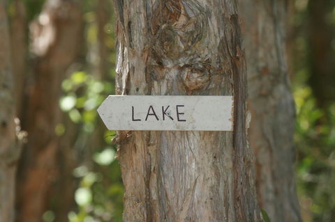 Lake Weyba Noosa Lodge & Kangaroos - Yamba Accommodation 36