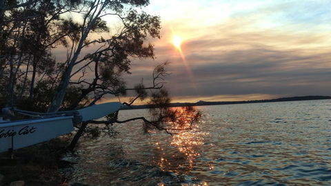 Lake Weyba Noosa Lodge & Kangaroos - Yamba Accommodation 40