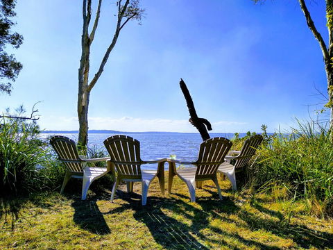Lake Weyba Noosa Lodge & Kangaroos - Yamba Accommodation 44