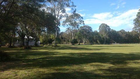 Lake Weyba Noosa Lodge & Kangaroos - Yamba Accommodation 23