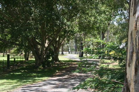 Lake Weyba Noosa Lodge & Kangaroos - Yamba Accommodation 34