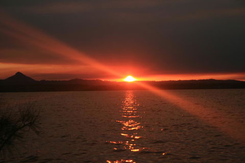 Lake Weyba Noosa Lodge & Kangaroos - Yamba Accommodation 41