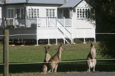 Lake Weyba Noosa Lodge & Kangaroos - Yamba Accommodation 28