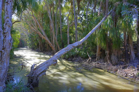 Sandcastles 1770 Motel & Resort - Yamba Accommodation 18