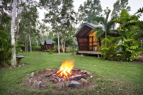 Airlie Beach Eco Cabins - Adults Only - Yamba Accommodation 1