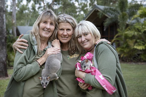 Airlie Beach Eco Cabins - Adults Only - Yamba Accommodation 23