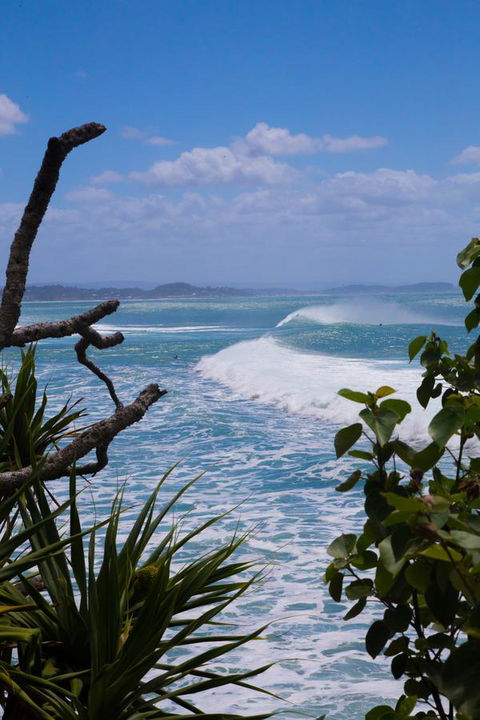 Rainbow Bay Backpackers - Yamba Accommodation 14