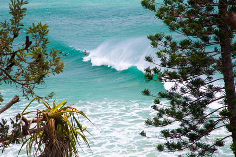 Rainbow Bay Backpackers - Yamba Accommodation 15