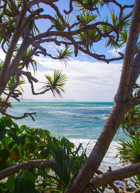 Rainbow Bay Backpackers - Yamba Accommodation 26