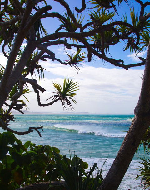 Rainbow Bay Backpackers - Yamba Accommodation 25