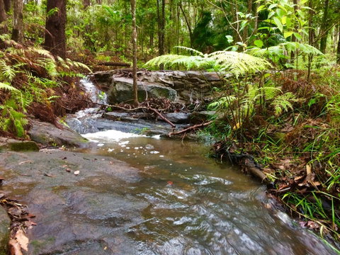 Noosa Hinterland Retreat - Yamba Accommodation 12