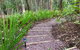 Noosa Hinterland Retreat - thumb 13