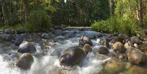 Silky Oaks Lodge - Yamba Accommodation 20