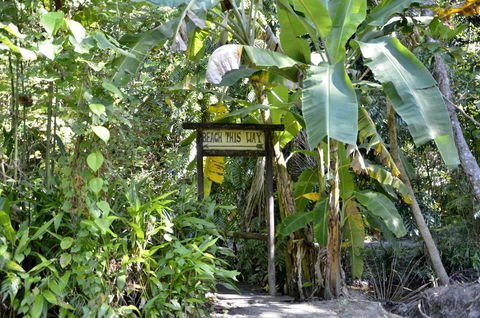 PK\'s Jungle Village - Yamba Accommodation 23
