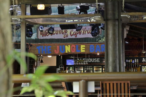 PK\'s Jungle Village - Yamba Accommodation 20