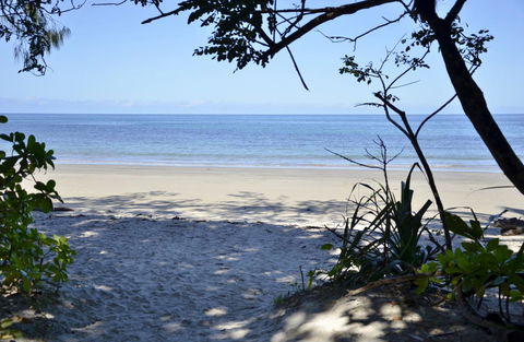 PK\'s Jungle Village - Yamba Accommodation 26