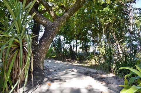 PK\'s Jungle Village - Yamba Accommodation 28