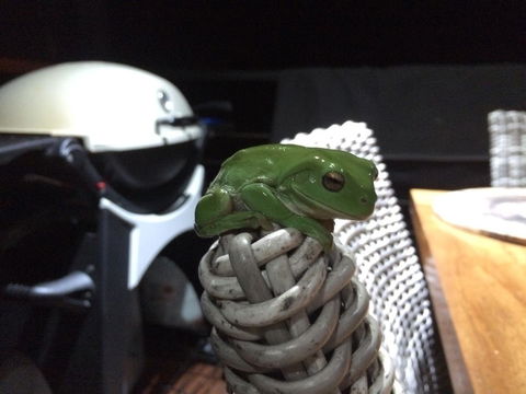 Bed & Breakfast 1 Bedroom Guest House - Yamba Accommodation 43