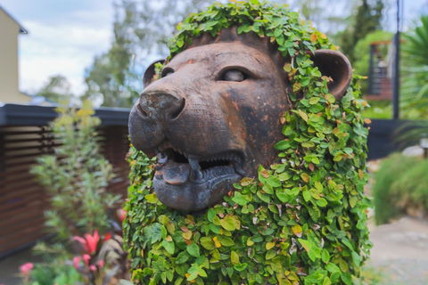 Bed & Breakfast 1 Bedroom Guest House - Yamba Accommodation 44