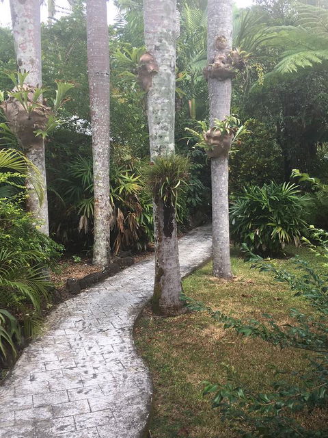 Eco Village Mission Beach - Yamba Accommodation 6