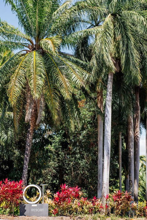 Oaks Port Douglas Resort - Yamba Accommodation 40