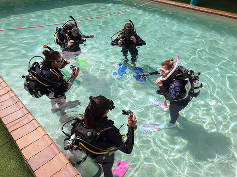 Backpackers In Paradise 18-35 Hostel - Yamba Accommodation 18