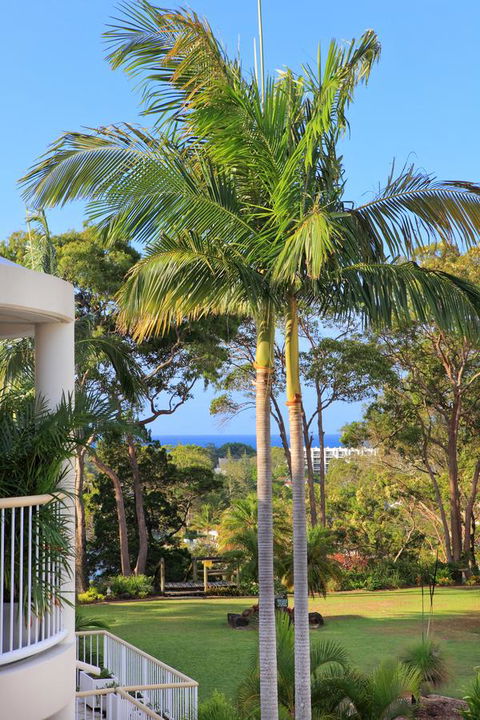 Serenity Apartments Noosa - Yamba Accommodation 14
