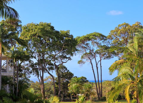 Serenity Apartments Noosa - Yamba Accommodation 26