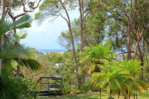 Serenity Apartments Noosa - Yamba Accommodation 1