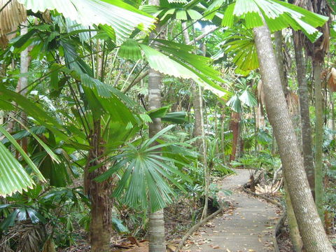 Port Douglas Retreat - Yamba Accommodation 18