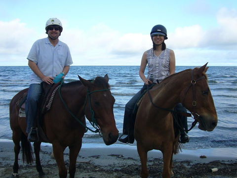 Port Douglas Retreat - Yamba Accommodation 20