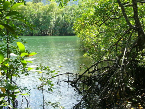 Port Douglas Retreat - Yamba Accommodation 17