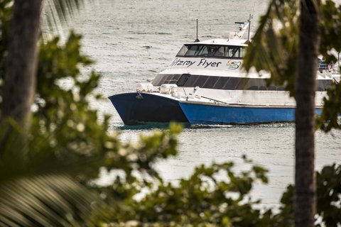 Fitzroy Island Resort - Yamba Accommodation 25