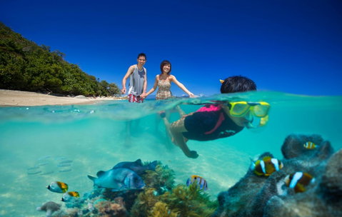 Fitzroy Island Resort - Yamba Accommodation 22