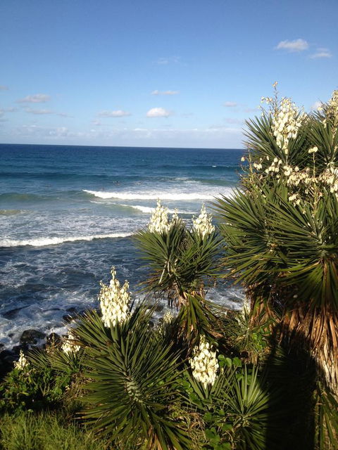 Oceania On Burleigh Beach - Yamba Accommodation 23