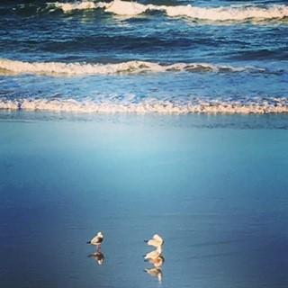 Oceania On Burleigh Beach - Yamba Accommodation 40