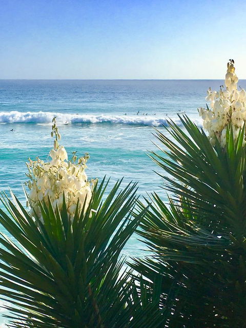 Oceania On Burleigh Beach - Yamba Accommodation 21
