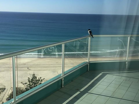 Ocean Plaza Resort - Yamba Accommodation 28