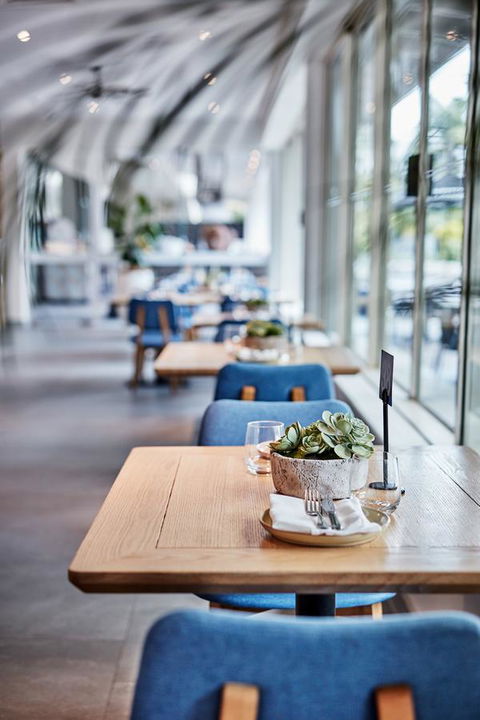 Novotel Cairns Oasis Resort - Yamba Accommodation 19