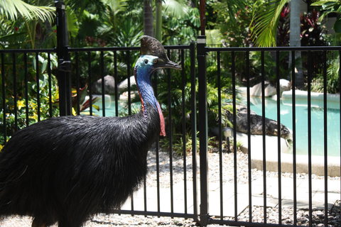 Boutique Bungalows - Yamba Accommodation 17