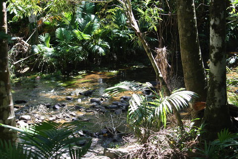 Boutique Bungalows - Yamba Accommodation 18