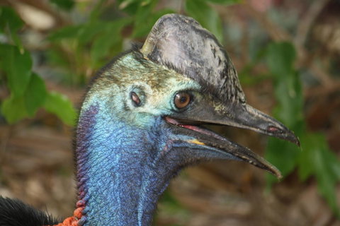 Boutique Bungalows - Yamba Accommodation 27